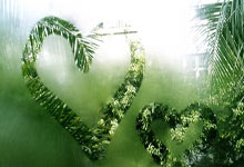 曼联锋线火力全开，势不可挡