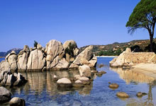 胜负之争，欧洲足球比赛激烈进行