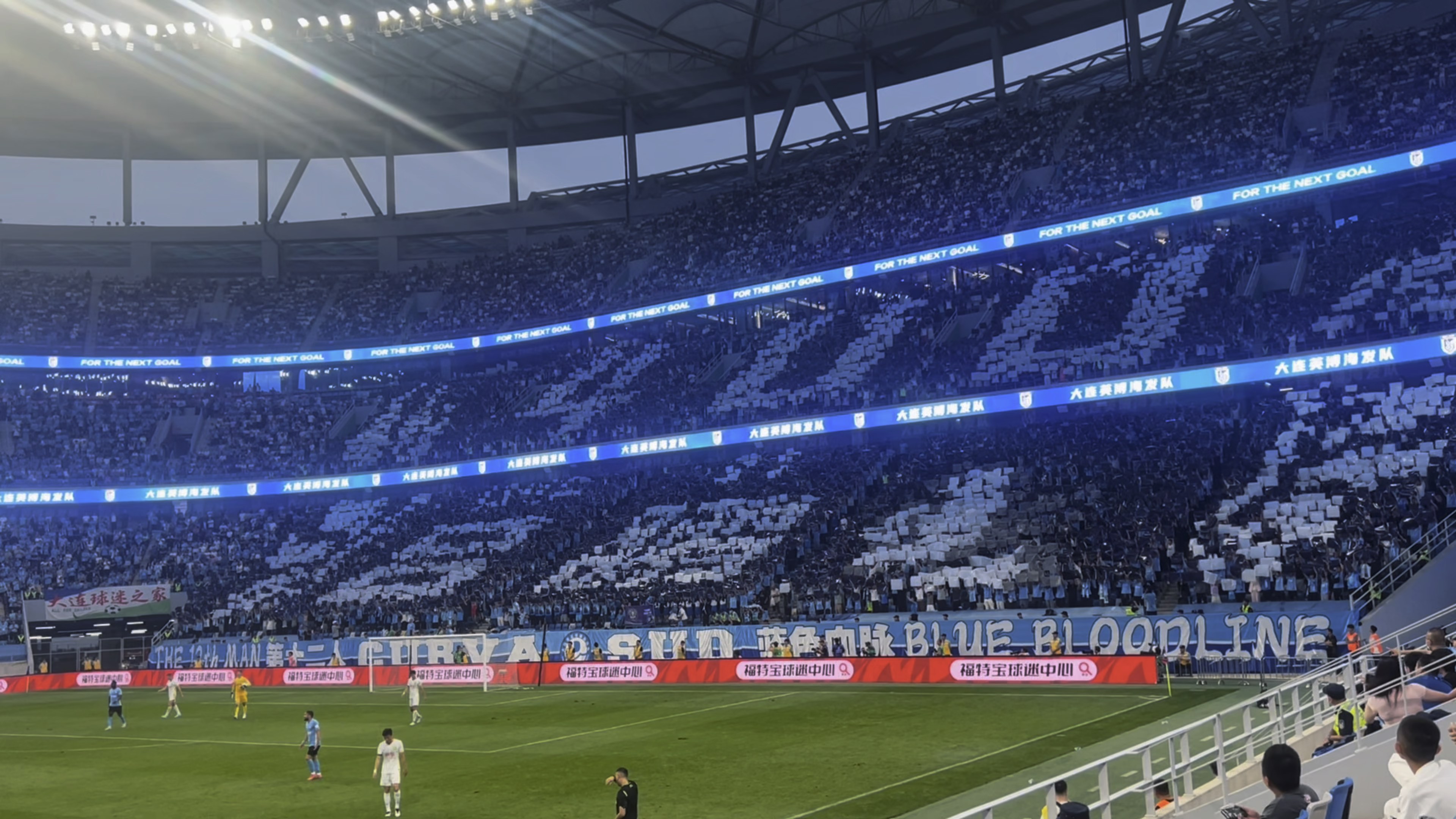 包含精彩的比赛现场再次上演，球迷欢呼雀跃的词条